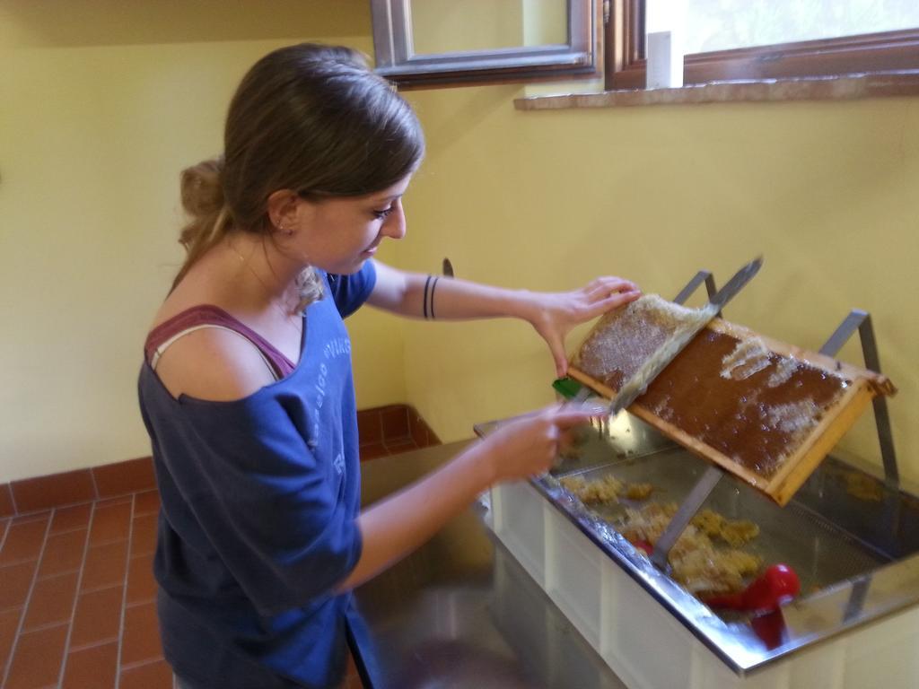 Agriturismo Villa Mazzi Montepulciano Stazione Eksteriør billede