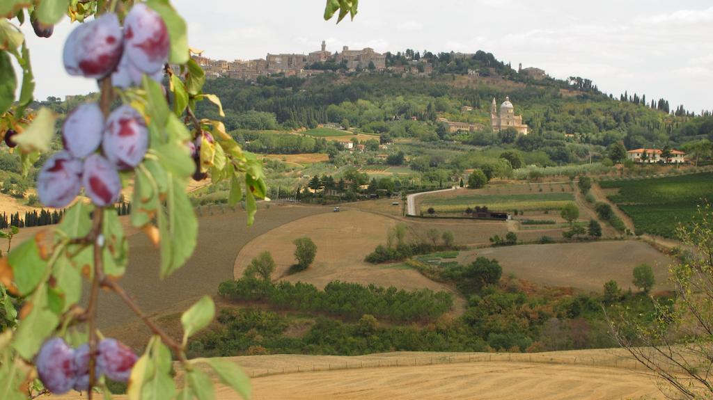 Agriturismo Villa Mazzi Montepulciano Stazione Eksteriør billede